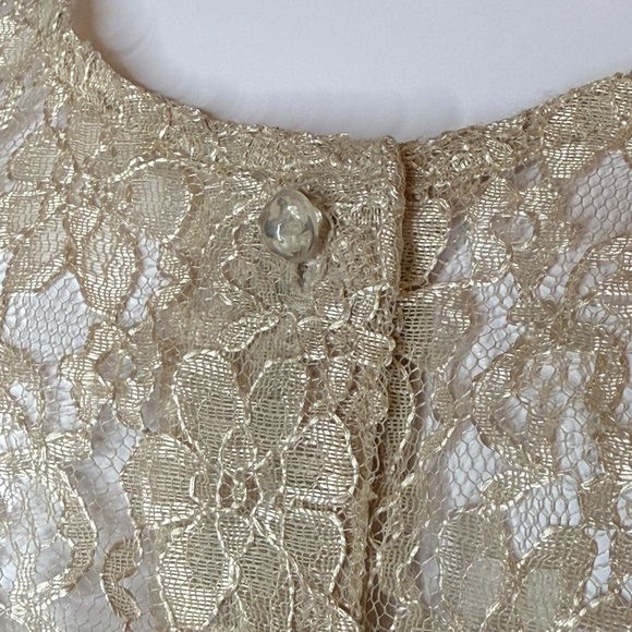 Vintage 1980s / 1990s Dawn Joy Fashions, Beige Champagne Lace, Overlay Dress - Picture 8 of 9